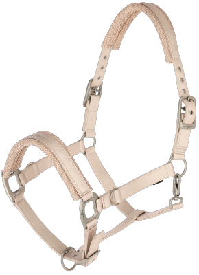 Kantar Covalliero S/S 2024 Irish Cream - Cavalo